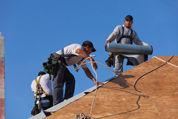 Best Storm Damage Roof Repair  in Vandalia, IL